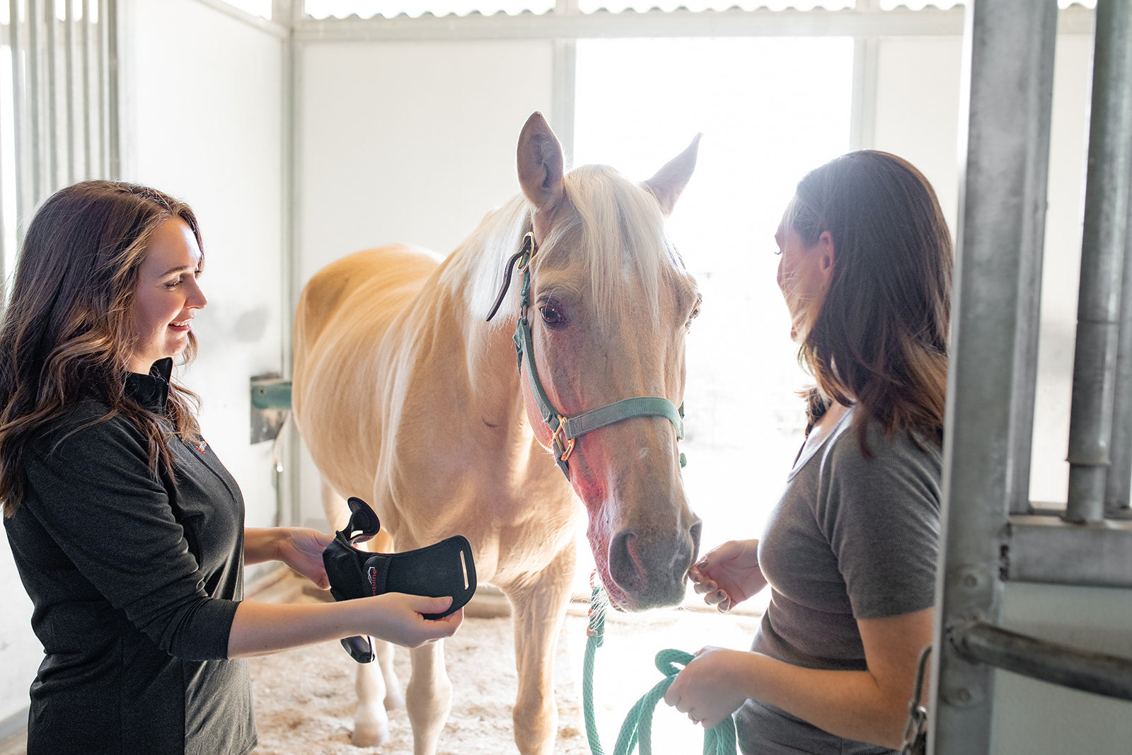 women applying red light therapy pole pad to a horses head.