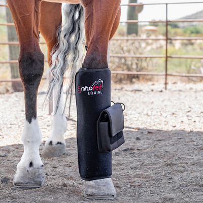 Mito Red EQUINE Tendon Pad